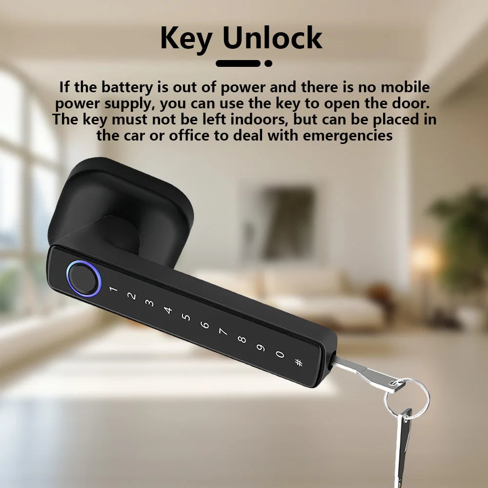 M6 Digital Fingerprint Door Lock by RAYKUBE with Tuya BLE – Password, Key, IC Card & Smartlife App Unlock