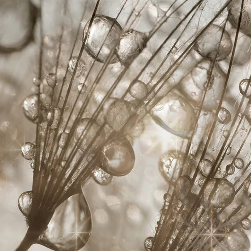 Canvas Painting, 5 Panel Dreamy Dandelion Decoration Wall Art