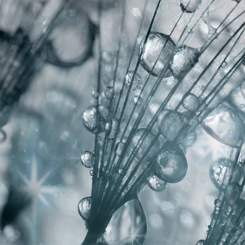 Canvas Painting, 5 Panel Dreamy Dandelion Decoration Wall Art