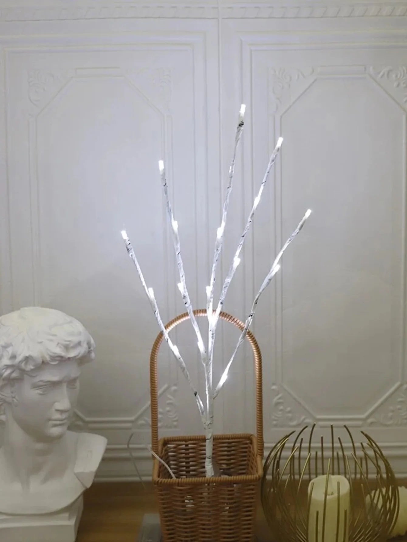LED Branch Lights-White Birch, Battery Operated, Twig Outdoor Lights,  Decoration