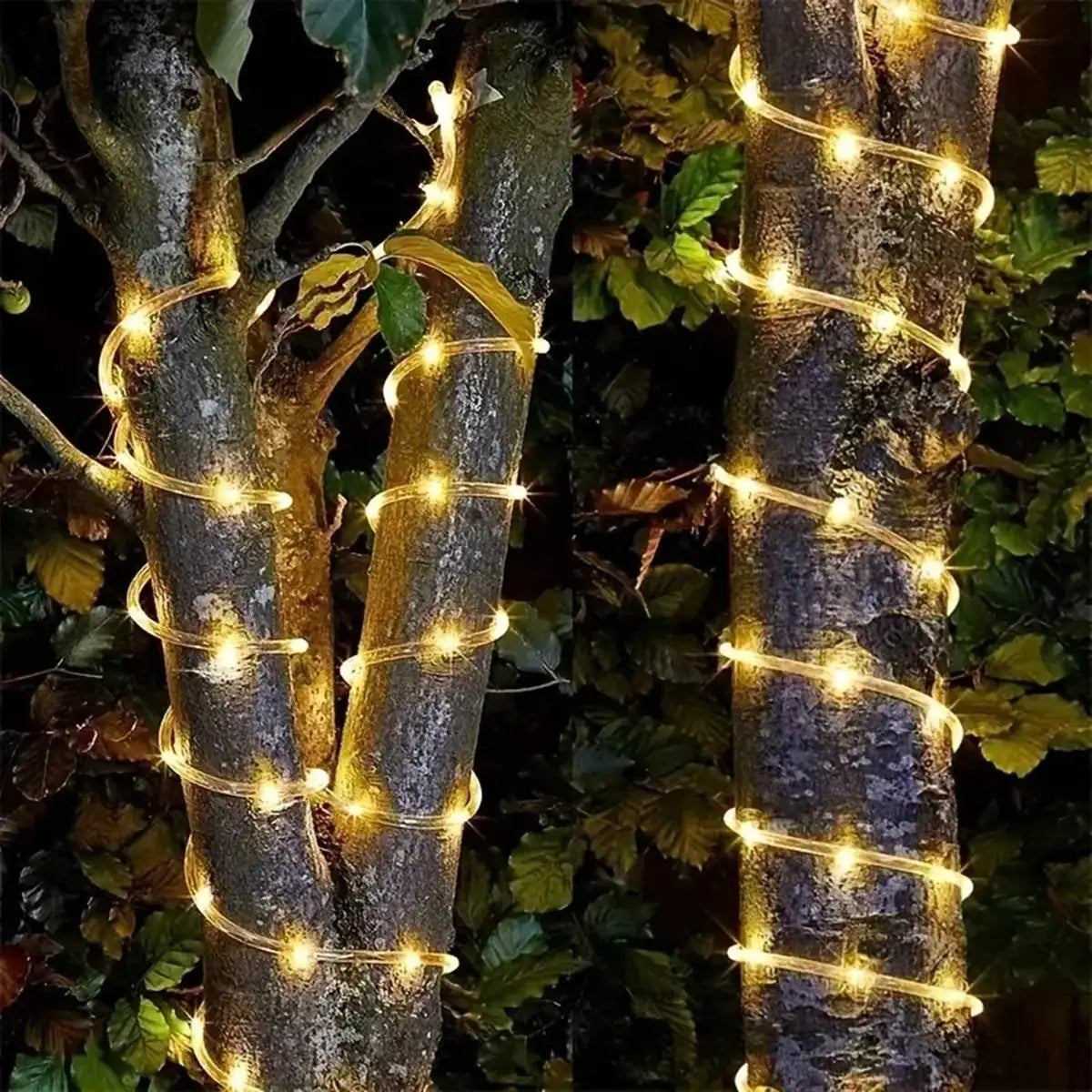 Solar-Powered LED Rope String Lights – 50/100/200 LEDs, 8 Modes, Waterproof Outdoor Decor for Garden & Walkways