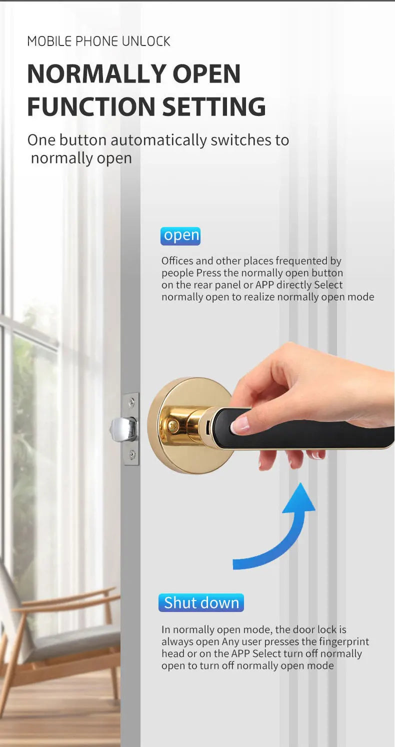 Smart Fingerprint Door Lock Handle – Keyless Entry with Keypad, Key Card & Backup Key for Home or Apartment