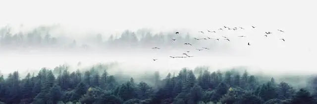 Canvas Wall Art – Landscape Lake, Forest & Mountain Scenery Print for Living Room or Bedroom Décor