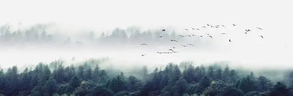 Canvas Painting, Landscape Lake Forest Mountain Scenery Painting Wall Art